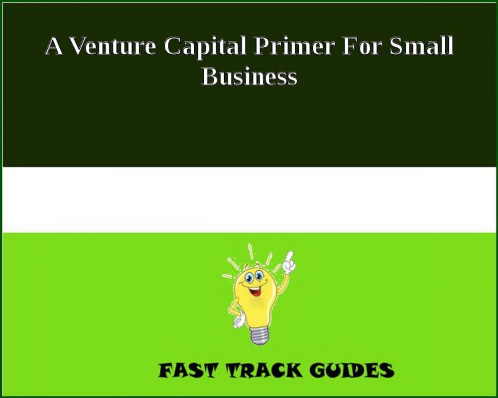 Big bigCover of A Venture Capital Primer For Small Business