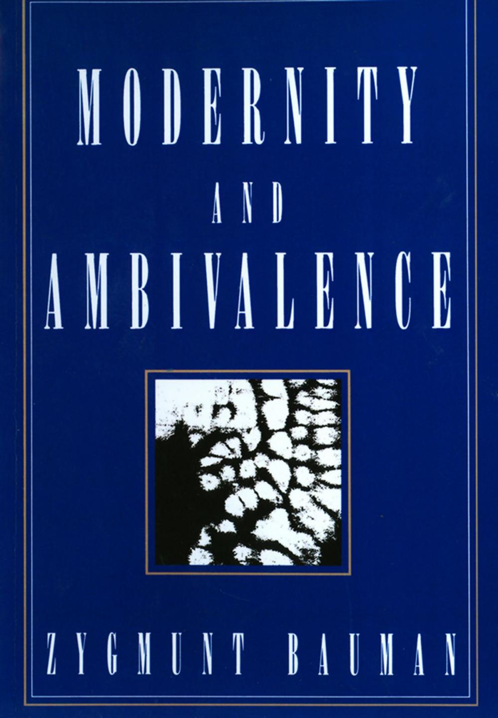 Big bigCover of Modernity and Ambivalence