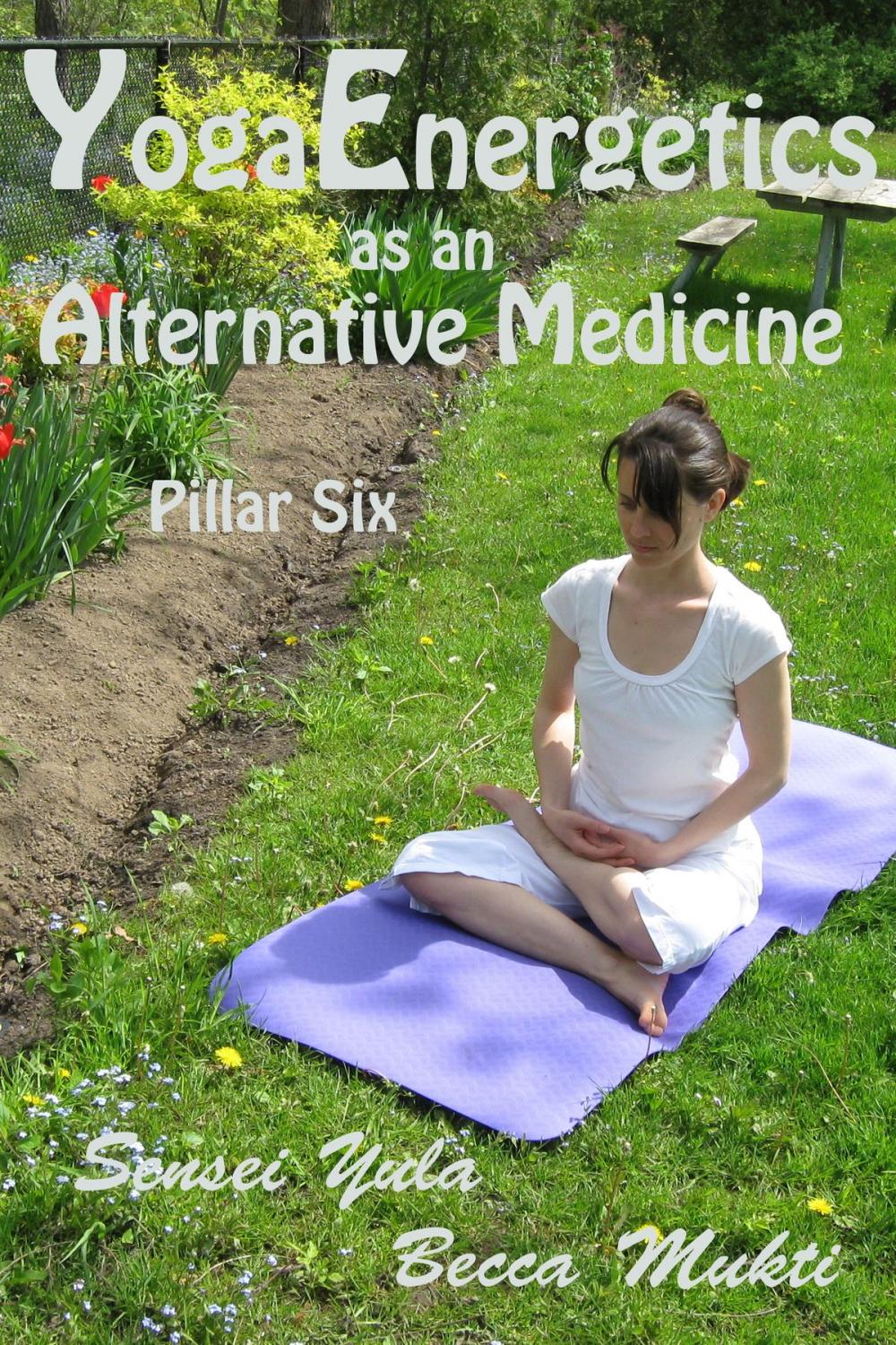 Big bigCover of Yoga Energetics as an Alternative Medicine: Pillar Six