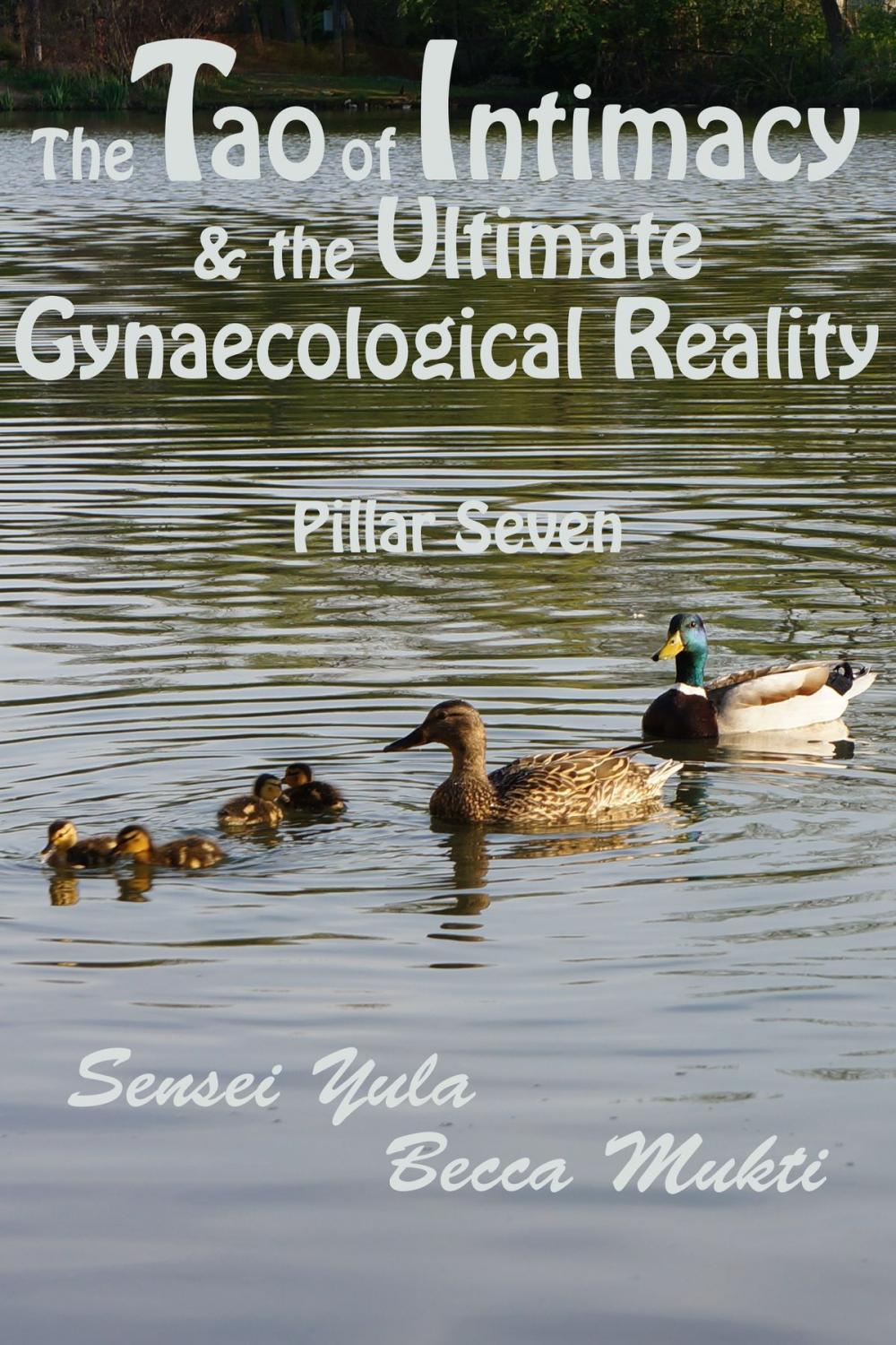 Big bigCover of The Tao of Intimacy & the Ultimate Gynaecological Reality: Pillar Seven