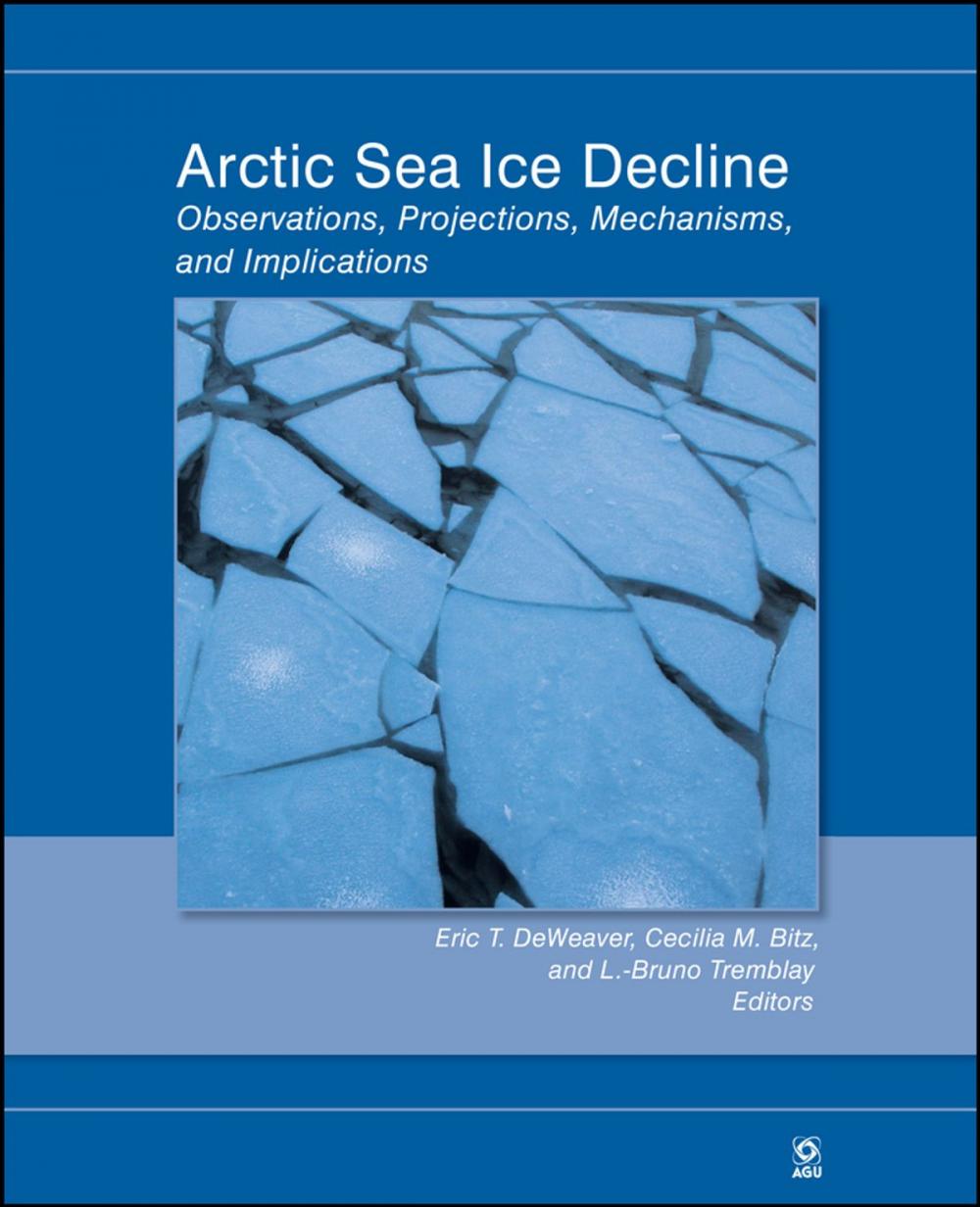 Big bigCover of Arctic Sea Ice Decline
