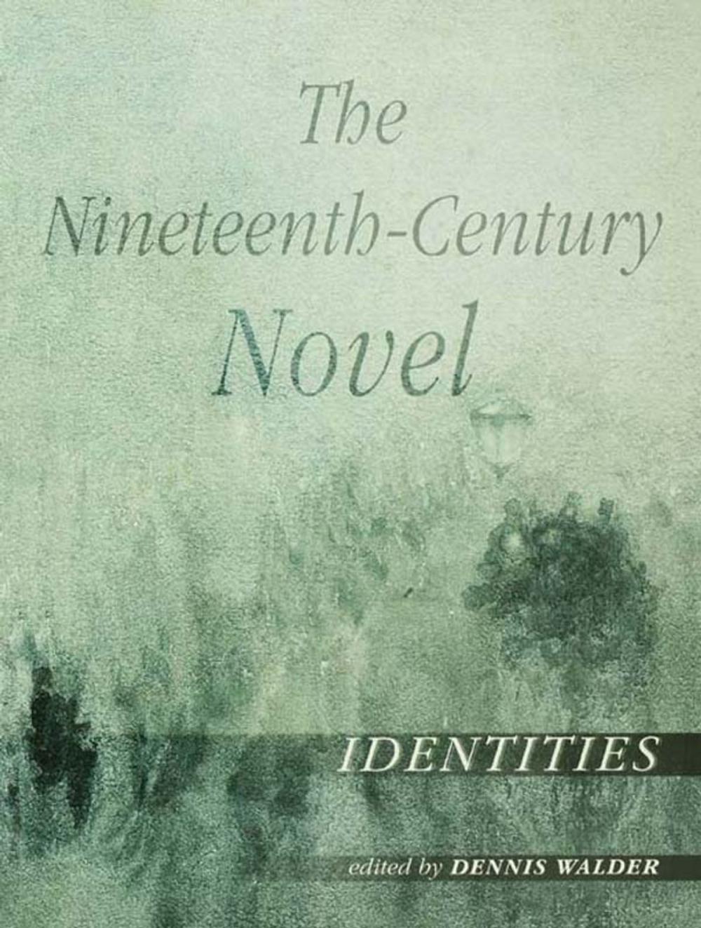 Big bigCover of The Nineteenth-Century Novel: Identities