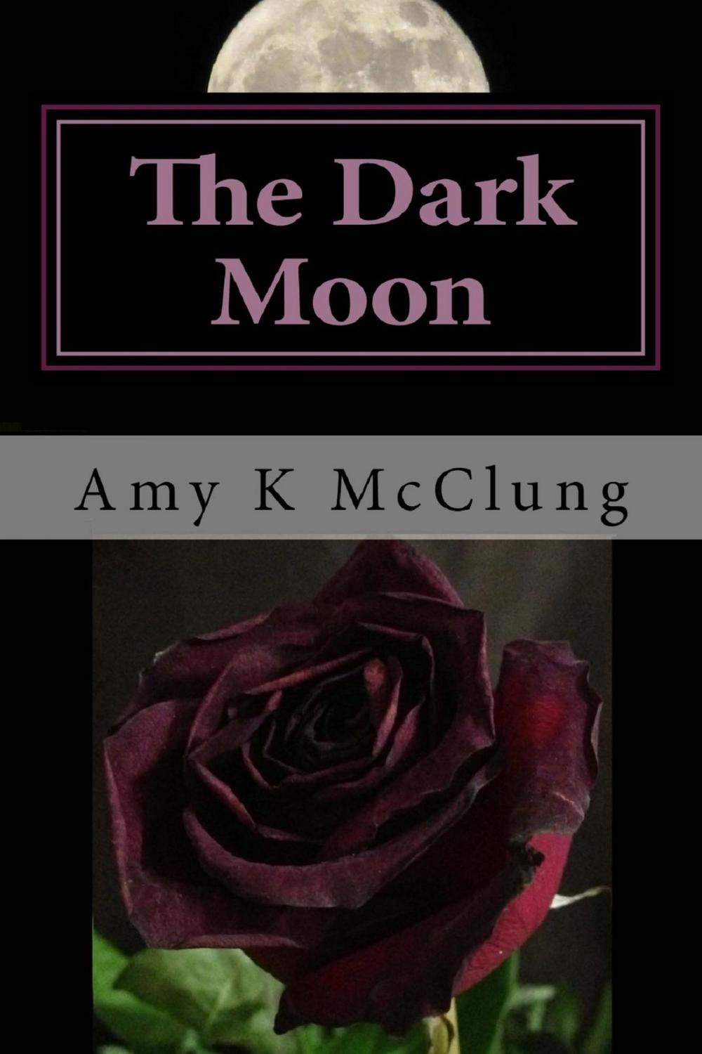 Big bigCover of The Dark Moon (The Parker Harris Series Book #3)