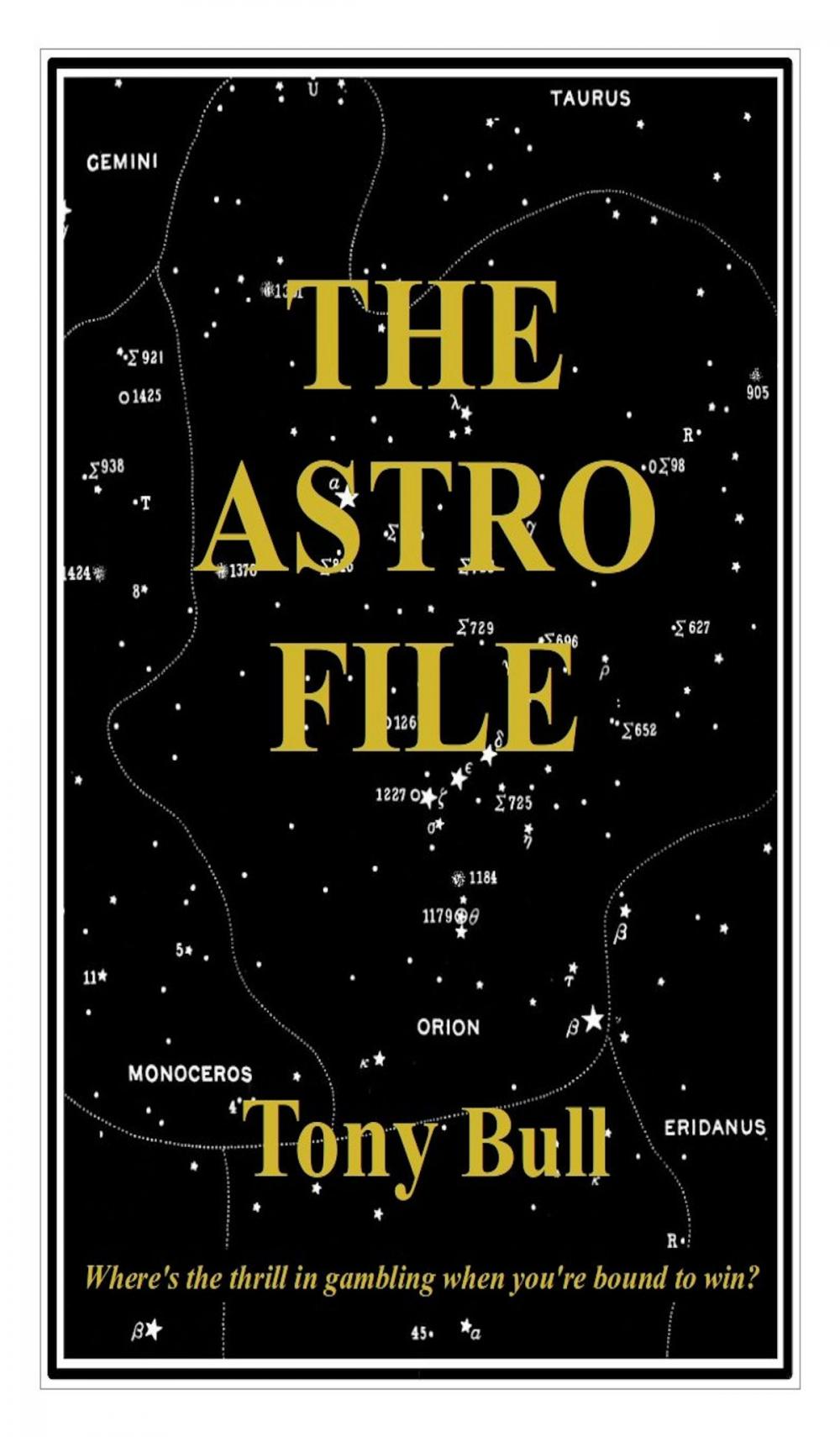 Big bigCover of The Astro File