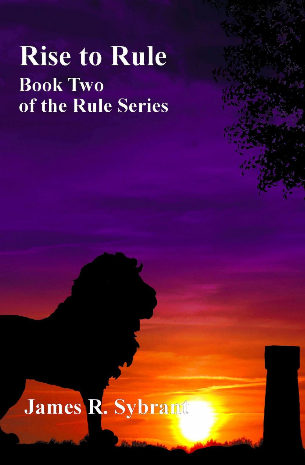 Big bigCover of Rise to Rule (Book 2 of the Rule Series)