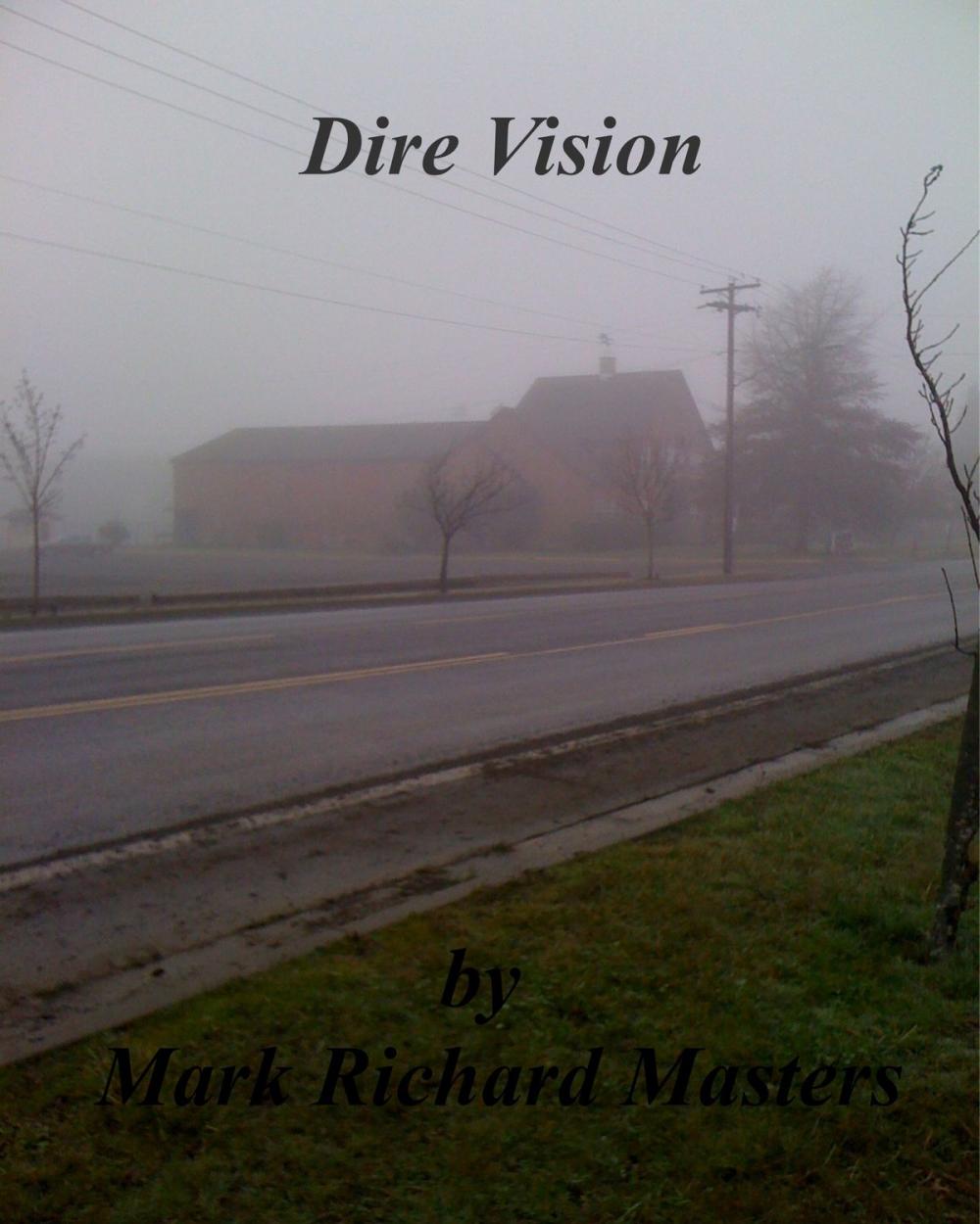 Big bigCover of Dire Vision