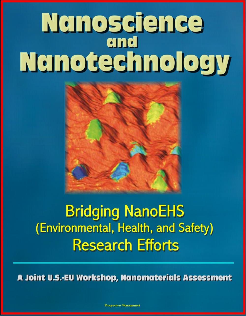 Big bigCover of Nanoscience and Nanotechnology: Bridging NanoEHS (Environmental, Health, and Safety) Research Efforts: A Joint U.S.-EU Workshop, Nanomaterials Assessment