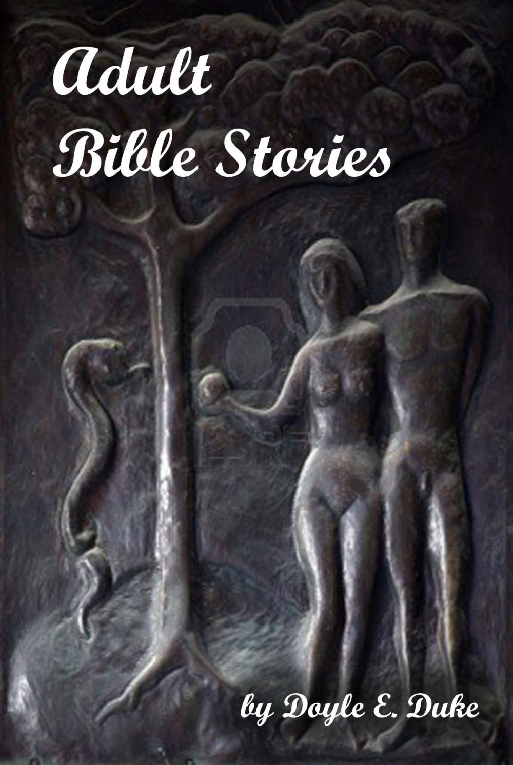 Big bigCover of Adult Bible Stories
