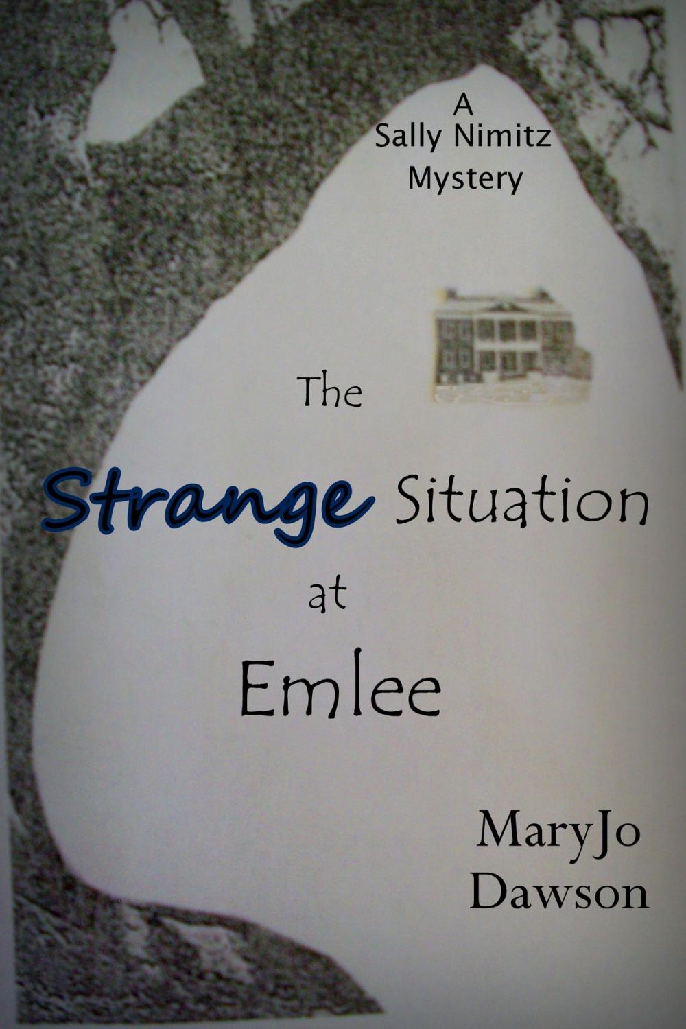 Big bigCover of The Strange Situation at Emlee: A Sally Nimitz Mystery (Book 3)