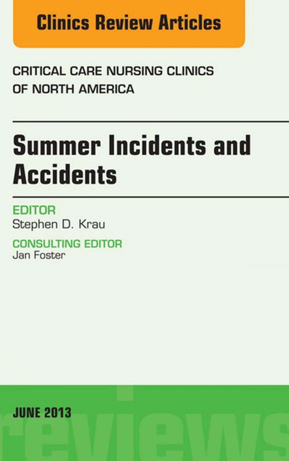 Big bigCover of Summer Issues and Accidents, An Issue of Critical Care Nursing Clinics, E-Book