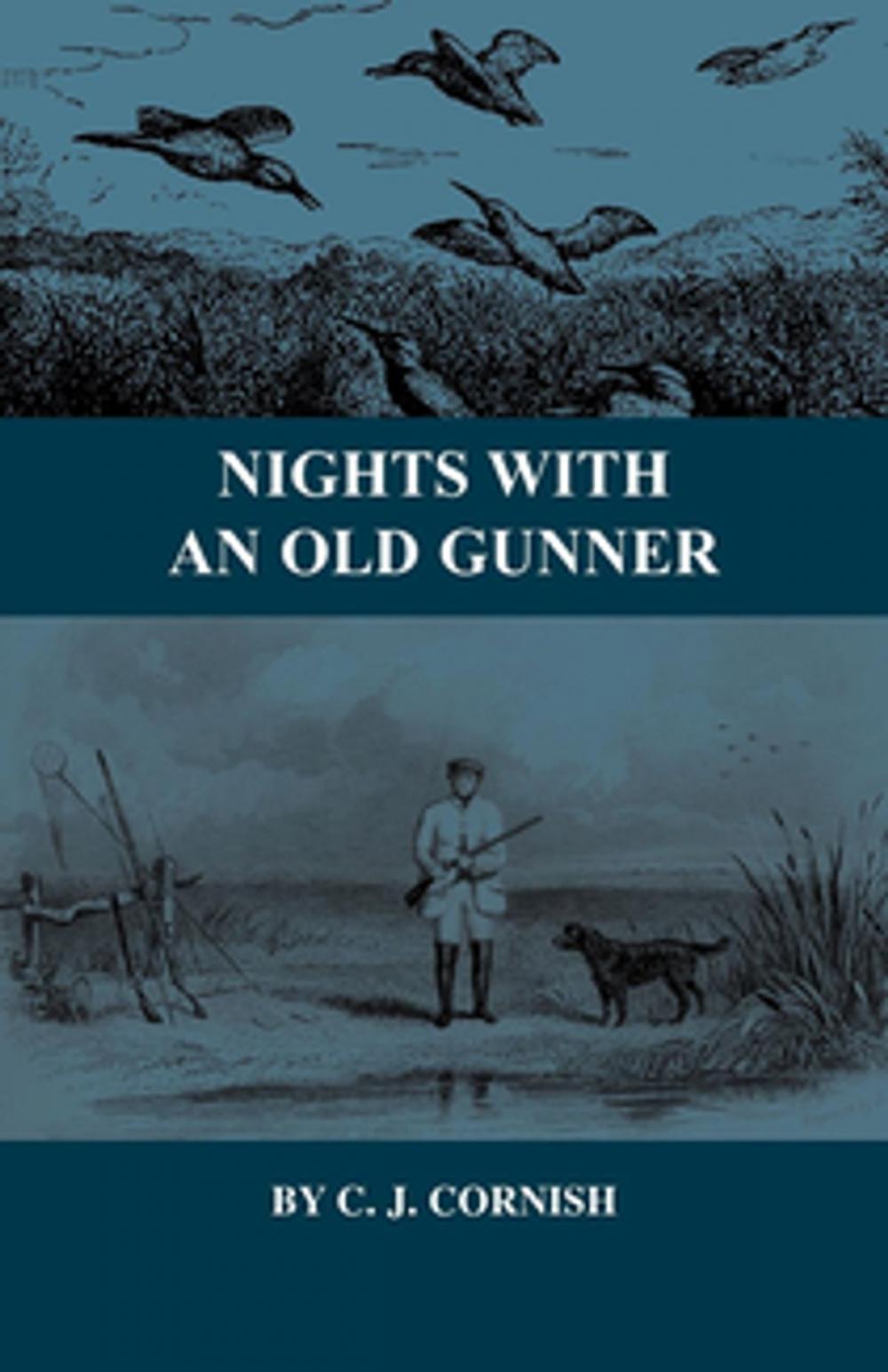 Big bigCover of Nights with an Old Gunner and Other Studies of Wild Life