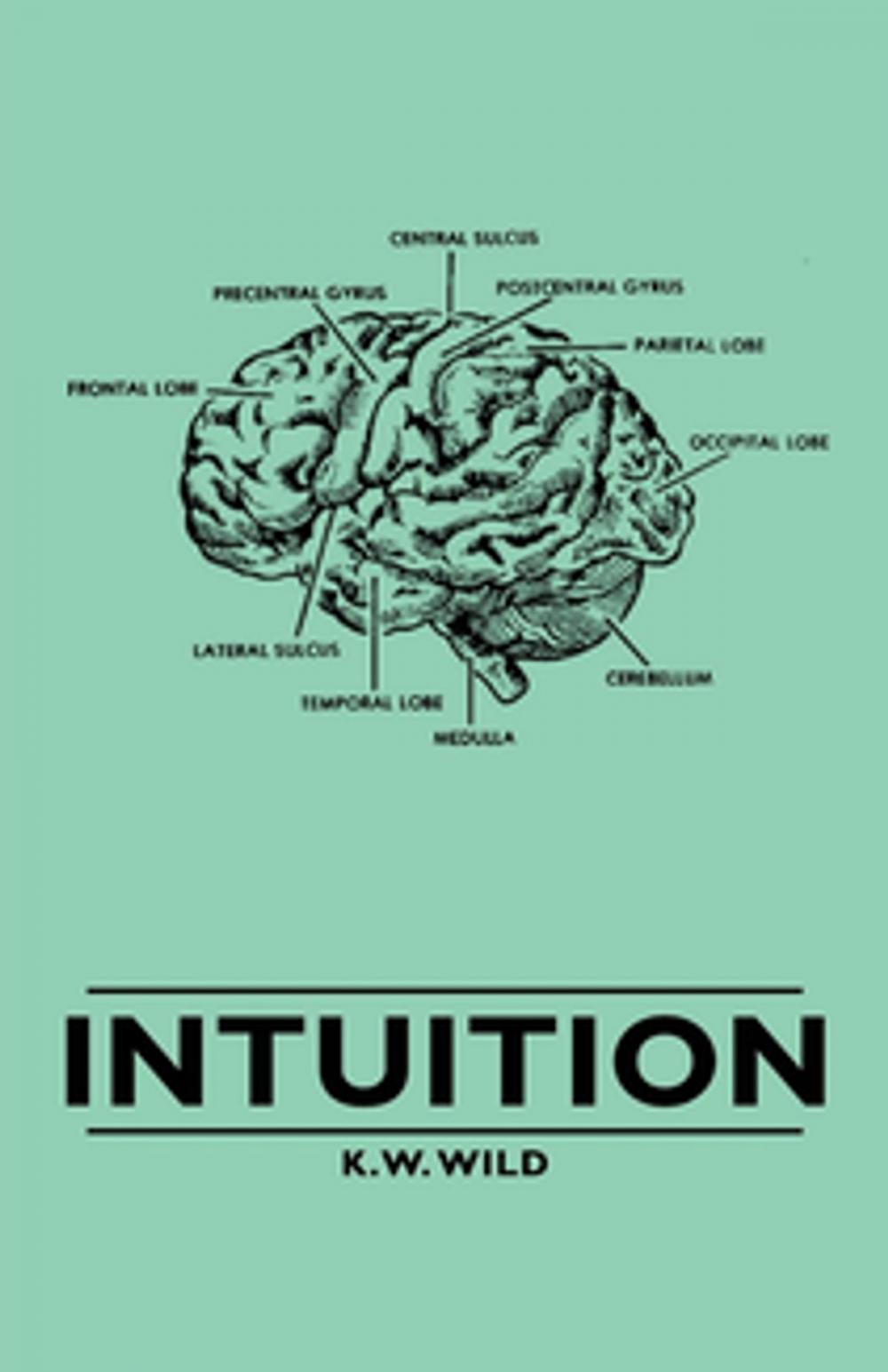 Big bigCover of Intuition