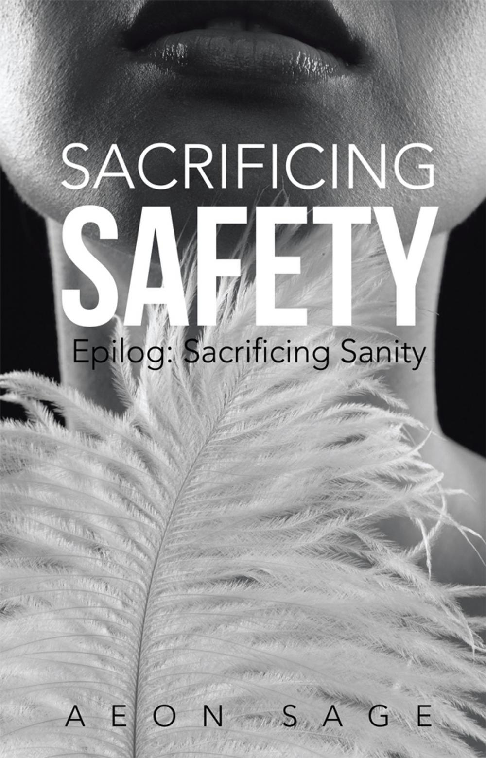 Big bigCover of Sacrificing Safety