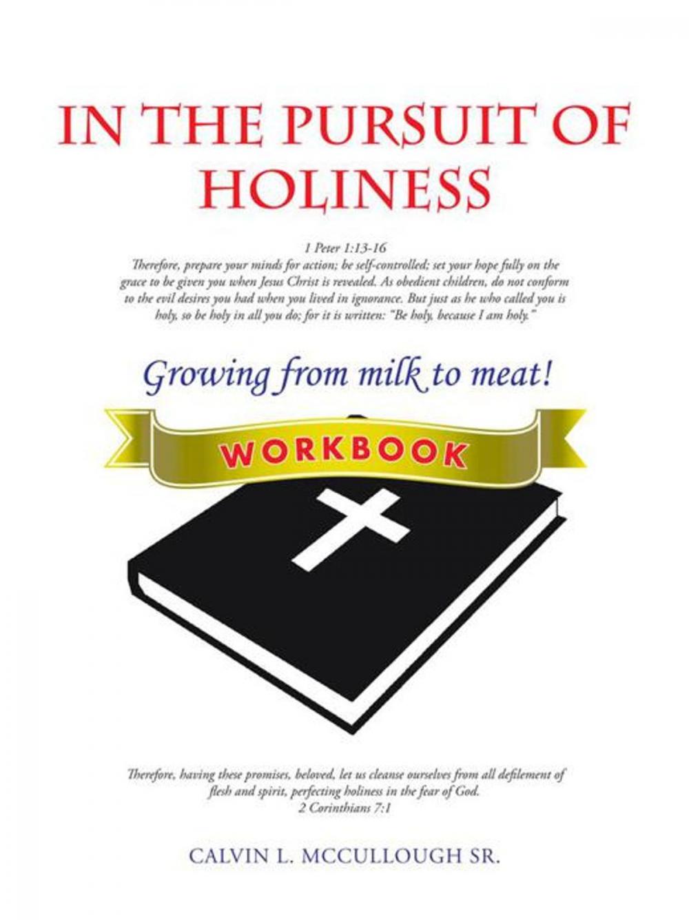 Big bigCover of In the Pursuit of Holiness