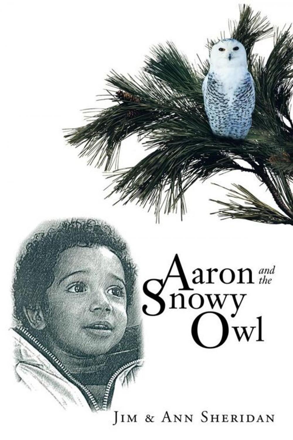 Big bigCover of Aaron and the Snowy Owl