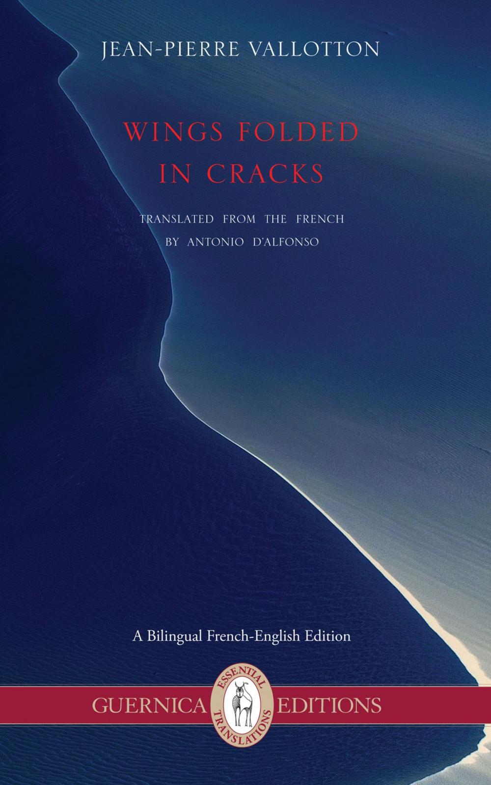 Big bigCover of Wings Folded in Cracks: