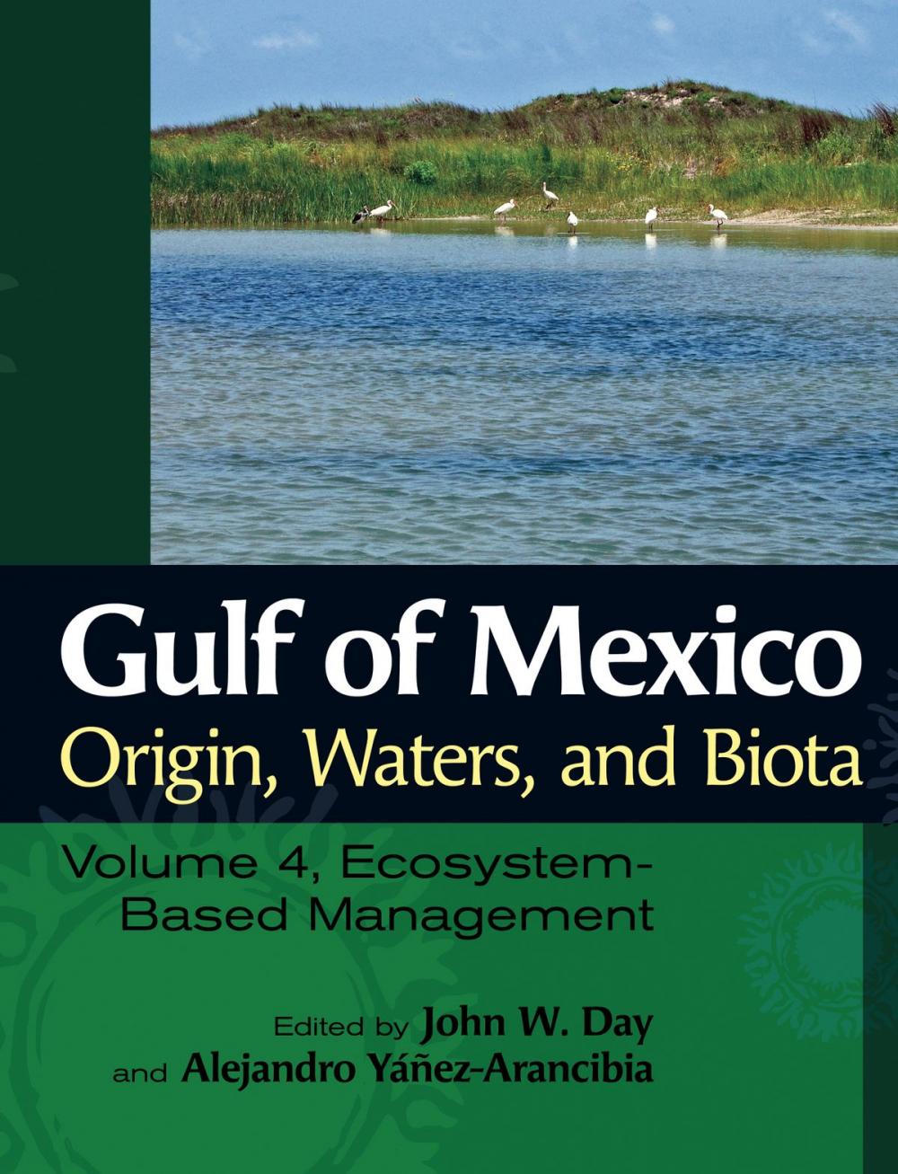 Big bigCover of Gulf of Mexico Origin, Waters, and Biota