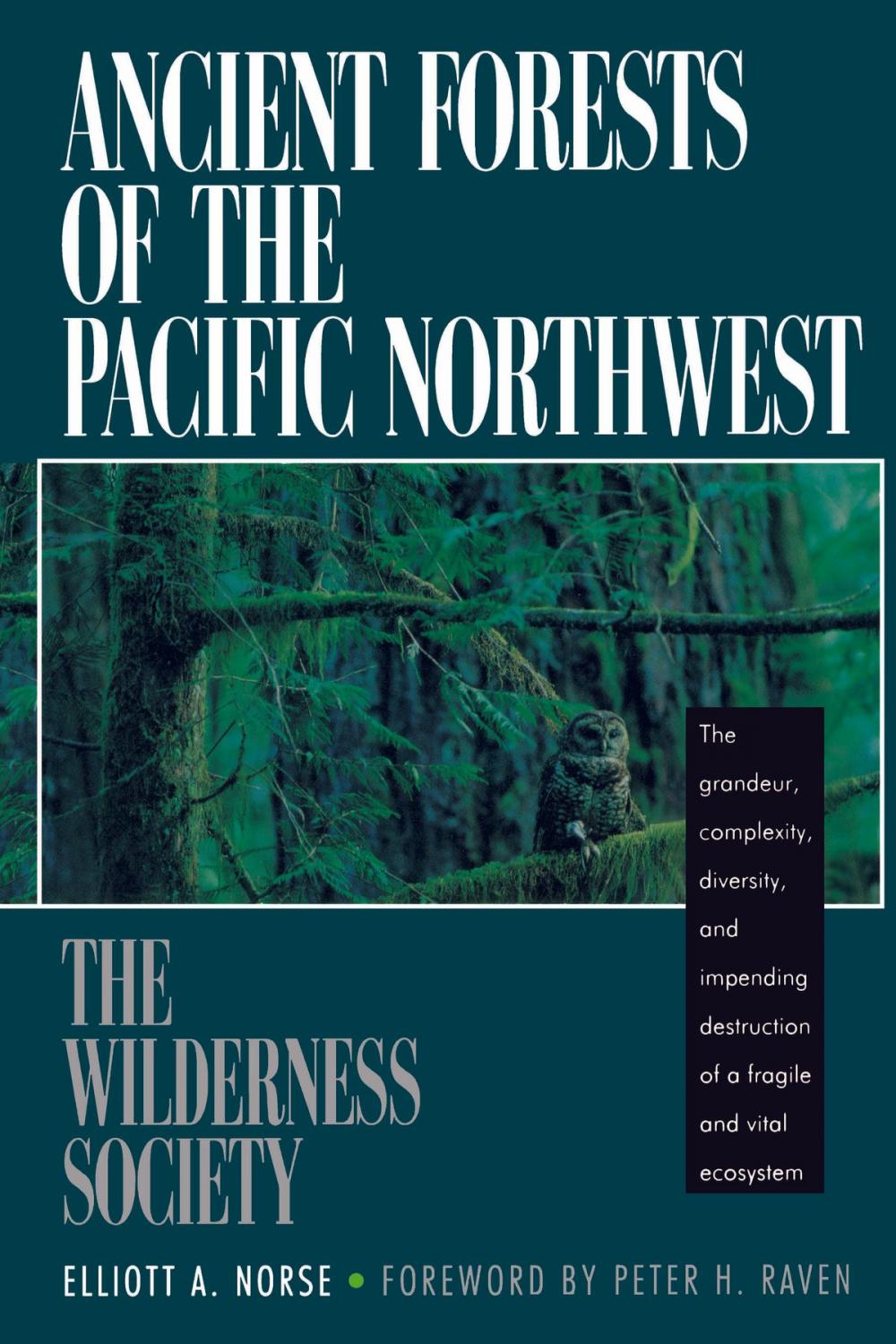 Big bigCover of AnciForests of the Pacific Northwest