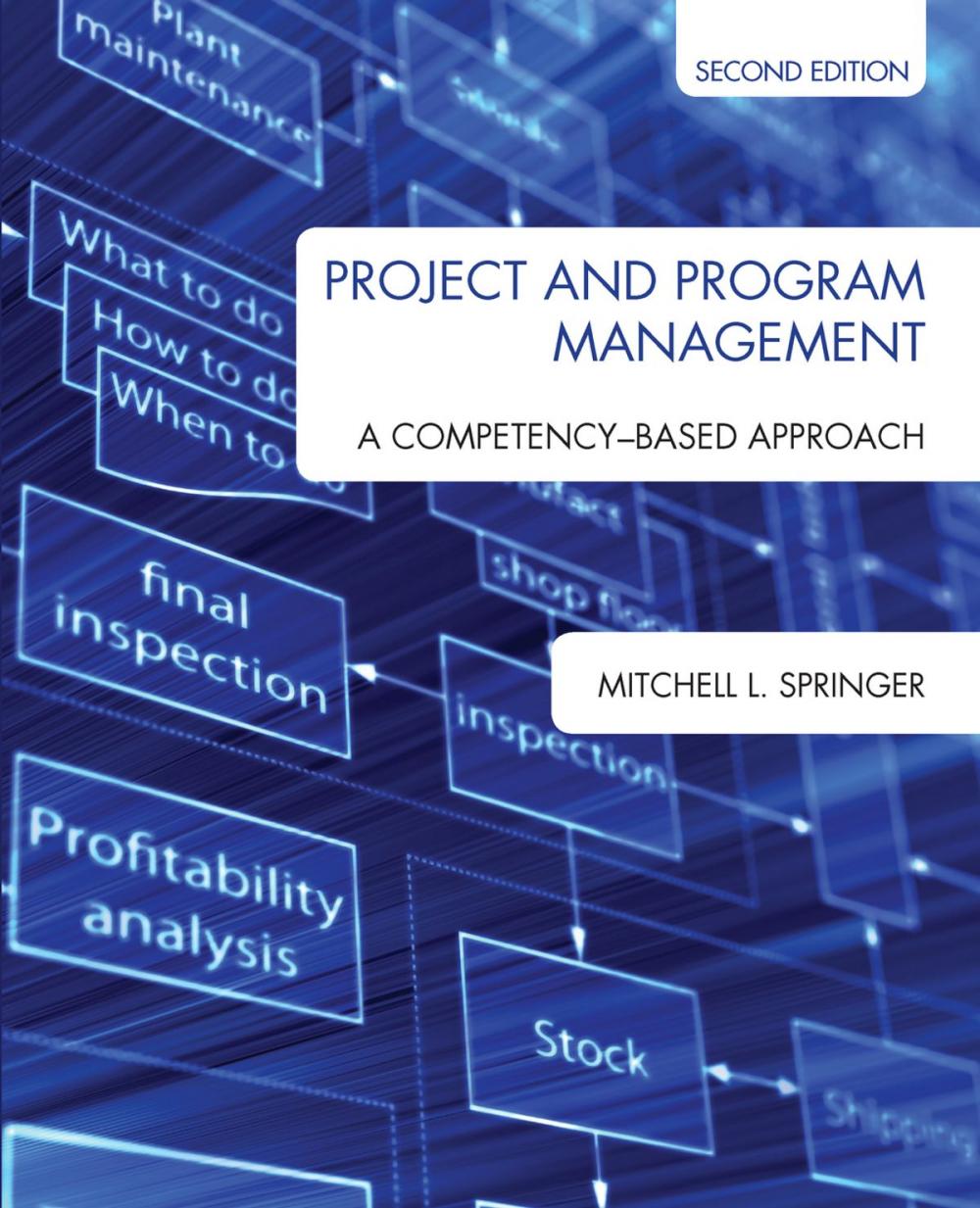 Big bigCover of Project and Program Management