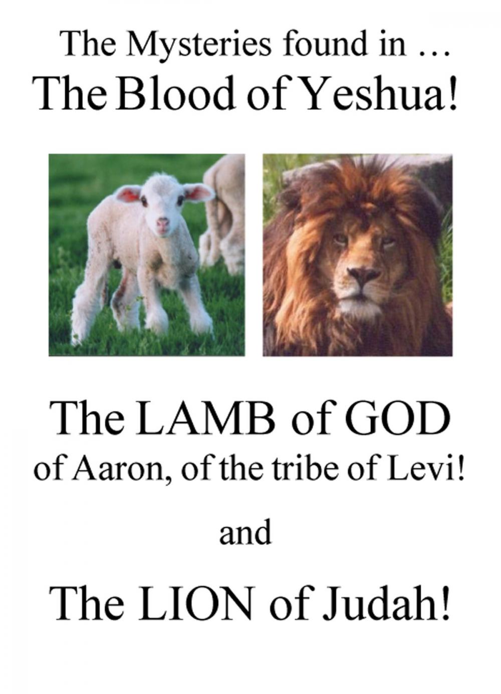 Big bigCover of The Mysteries Found in The Blood of Yeshua!