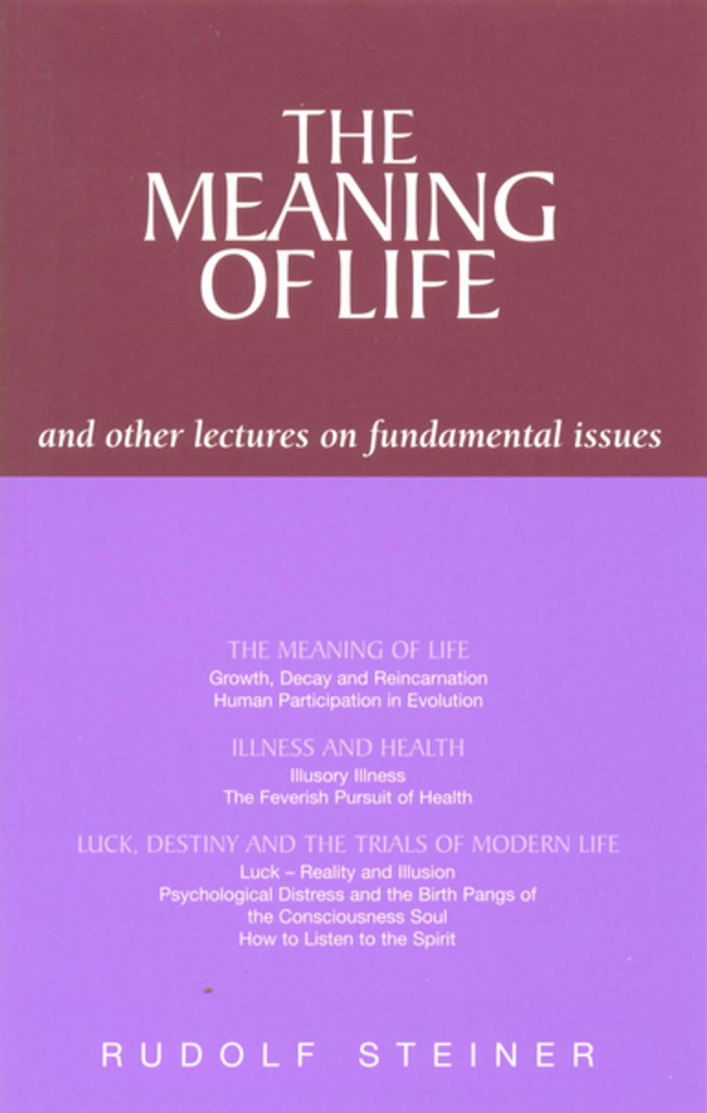 Big bigCover of The Meaning of Life and Other Lectures on Fundamental Issues
