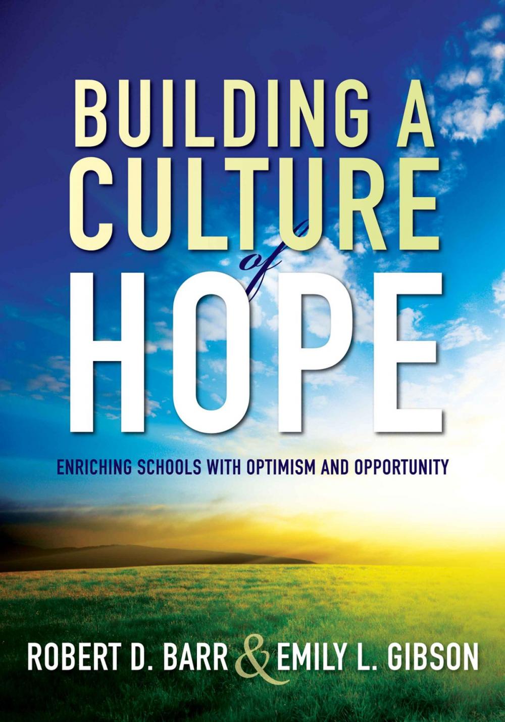 Big bigCover of Building a Culture of Hope