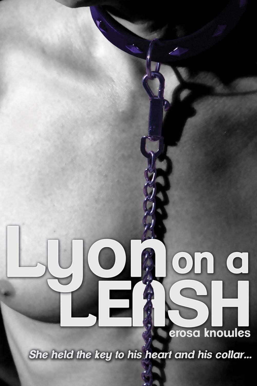 Big bigCover of Lyon on a Leash