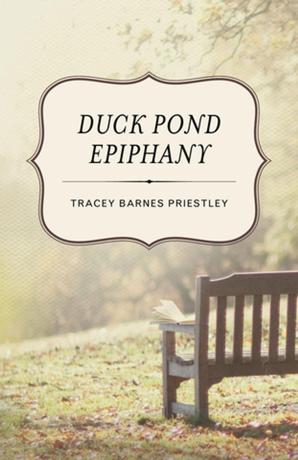 Big bigCover of Duck Pond Epiphany