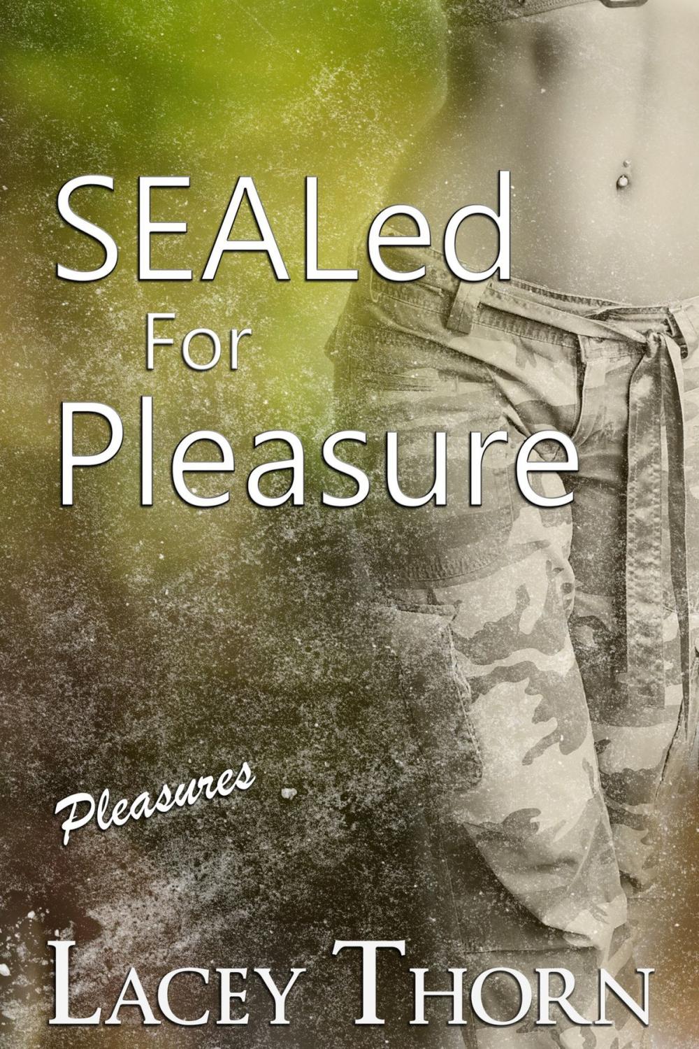 Big bigCover of SEALed for Pleasure
