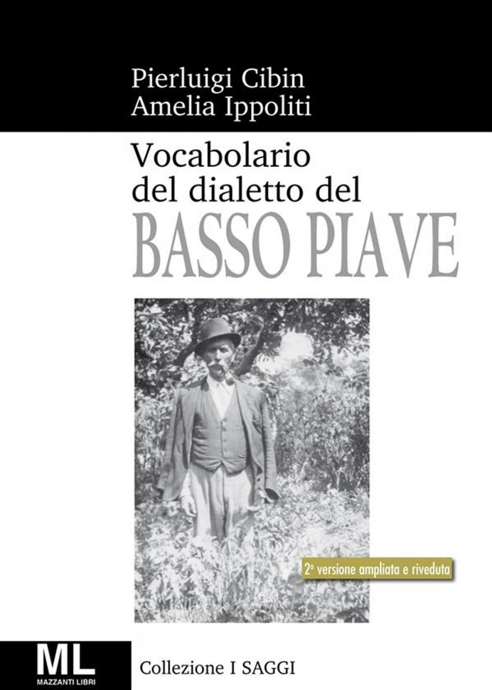 Big bigCover of Vocabolario del dialetto Veneto del Basso Piave