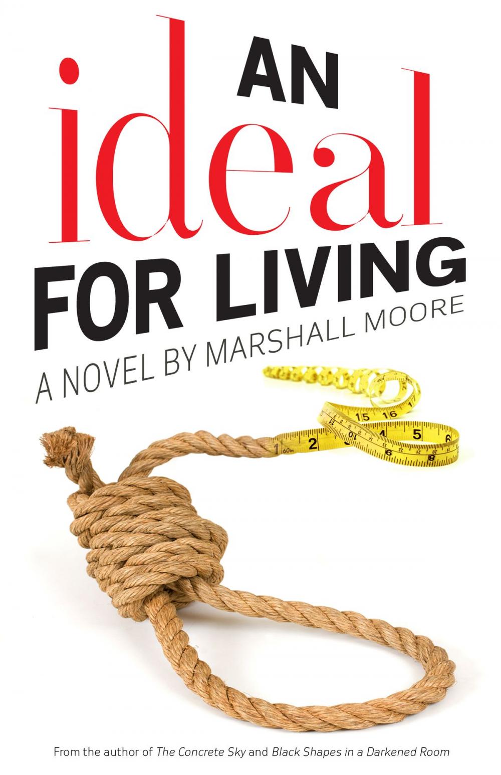 Big bigCover of An Ideal for Living