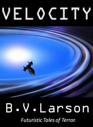Cover of the book Velocity by K. D. McAdams