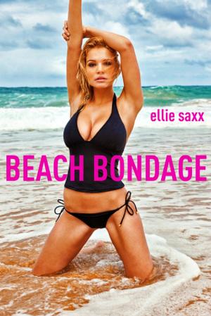 Cover of the book Beach Bondage by Lisa Lorraine