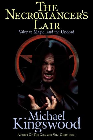 Book cover of The Necromancer's Lair