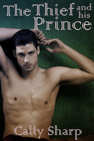 Book cover of The Thief and his Prince