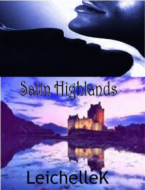 bigCover of the book Satin Highlands by 