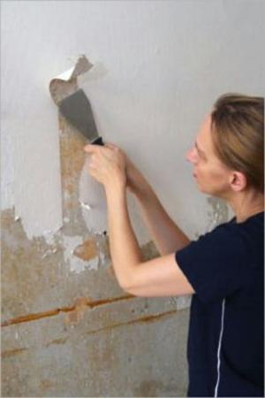 Cover of the book How to Remove Wallpaper by Heather Turner