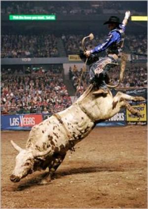 Cover of the book How to Ride a Bull by Rodney Peele