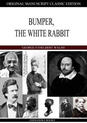 Book cover of Bumper, The White Rabbit