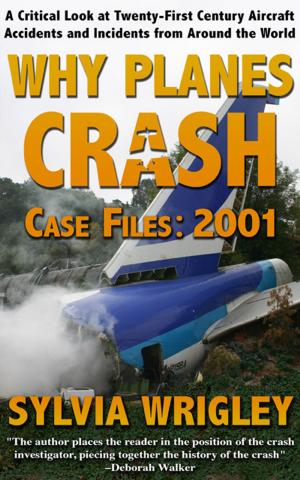 Book cover of Why Planes Crash: 2001
