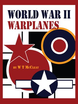 Cover of the book World War II Warplanes by Art Abrams, Amelia Pond