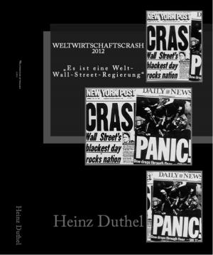 Cover of the book Weltwirtschafts & Finanzcrash by Heinz Duthel