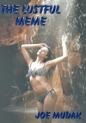 Book cover of The Lustful Meme