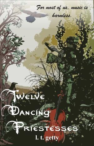Cover of the book Twelve Dancing Priestesses by Michael W. Davis