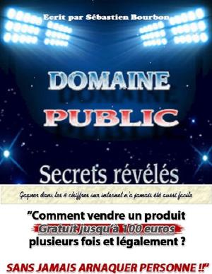 Cover of Domaine Public , les secrets dévoilés !