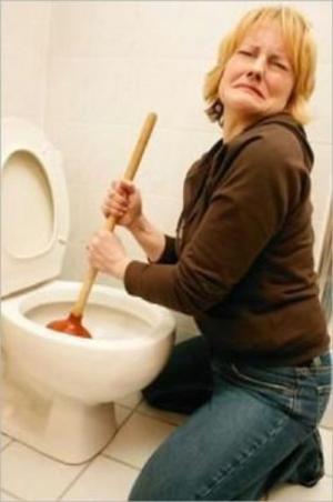 Cover of the book How to Unclog a Toilet by Margie Emerman