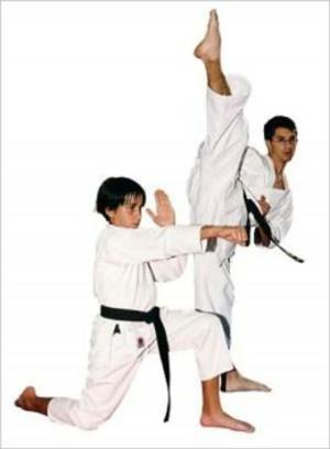 Cover of the book Karate For Beginners by Wendy Franklin