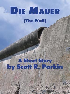Book cover of Die Mauer