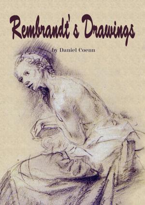 Book cover of Rembrandt's Drawings