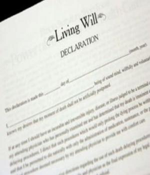 Cover of the book Living Wills: A Comprehensive Guide For Beginners by Jane Greeley